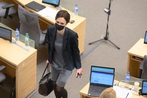 V. Čmilytė-Nielsen: Seime ryškėja nauji merų įgaliojimai, projektą kurs darbo grupė