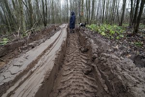Burnoja ant miško kirtėjų – nepasiekia namų, o miškavežių išmaurotose provėžose tebetvyro akivarai