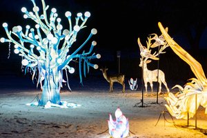 Jau pirmąją Kalėdų dieną į Rumšiškes kvies naujas žibintų festivalis „1000 šviesų“