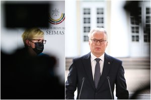 I. Šimonytė pasisakė apie prezidento teisę kreiptis dėl galimybių paso į KT