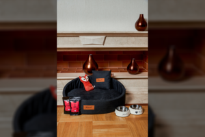 Viename prabangiausių Vilniaus viešbučių – išskirtinės sąlygos augintiniams