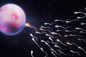 Ar COVID-19 gali turėti įtakos vaisingumui? Mokslininkai turi atsakymą