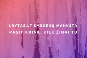 Testas. Ką žinote apie lietuvišką žiemą?