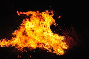 Per gaisrą Rusijos ligoninėje žuvo dvi pacientės