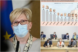 Naujausi reitingai: susimovę politikai švenčių išvakarėse buvo apdovanoti sprigtais