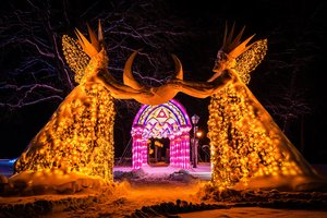 Pakruojo dvaro žibintų festivalyje – tikra žiemos pasaka