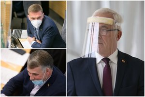 Naujieji metai prasidės su trenksmu: be galimybių paso į Seimą patekti negalėsiantys politikai surezgė planą