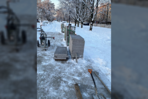 Klaipėdiečius stebina žiemą sodinami augalai: „Visa tai matant tik verkti norisi“