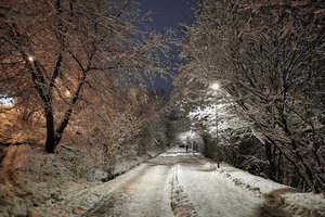 Fotografija žiemą: ką daryti, kad nuotraukos nebūtų išblukusios?