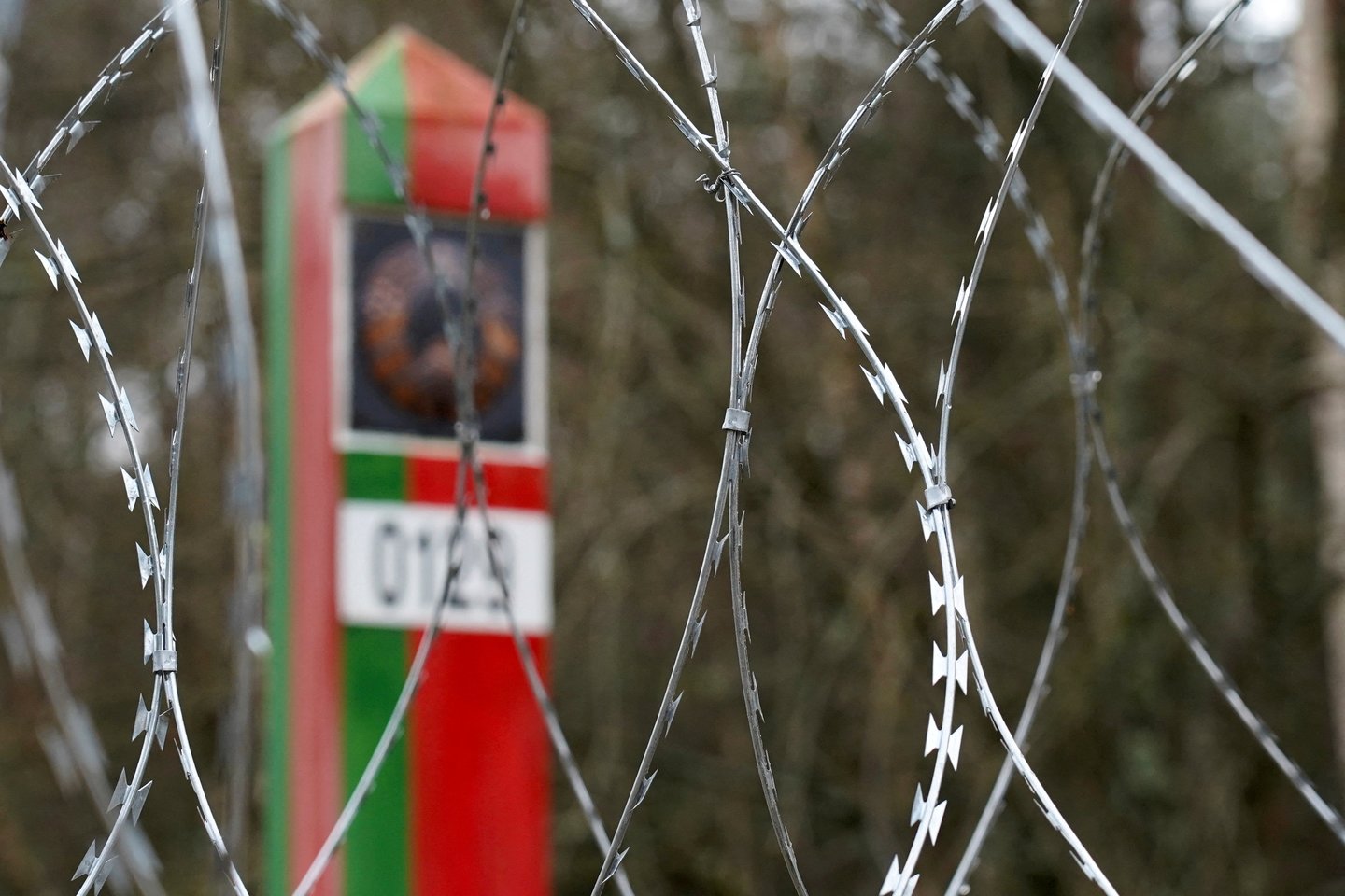 Latvijos pasieniečiai apgręžė 47 migrantus.