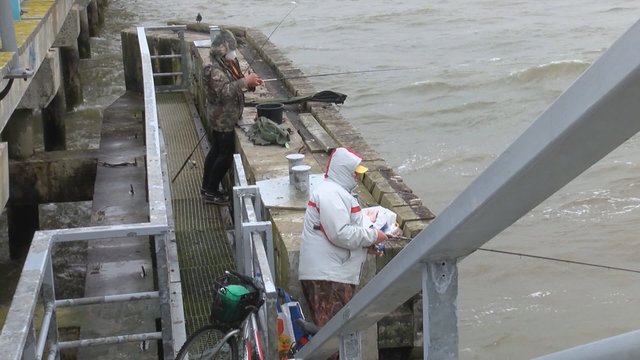 Baltijos jūroje sumažėjo žvejų mėgėjų: įvardijo priežastis, kodėl neliko norinčių išbandyti savo jėgas