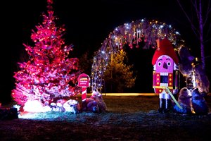 Kauno rajono eglutės konkurse – Neveronių gyventojų triumfas: sukūrė kalėdinę pasaką