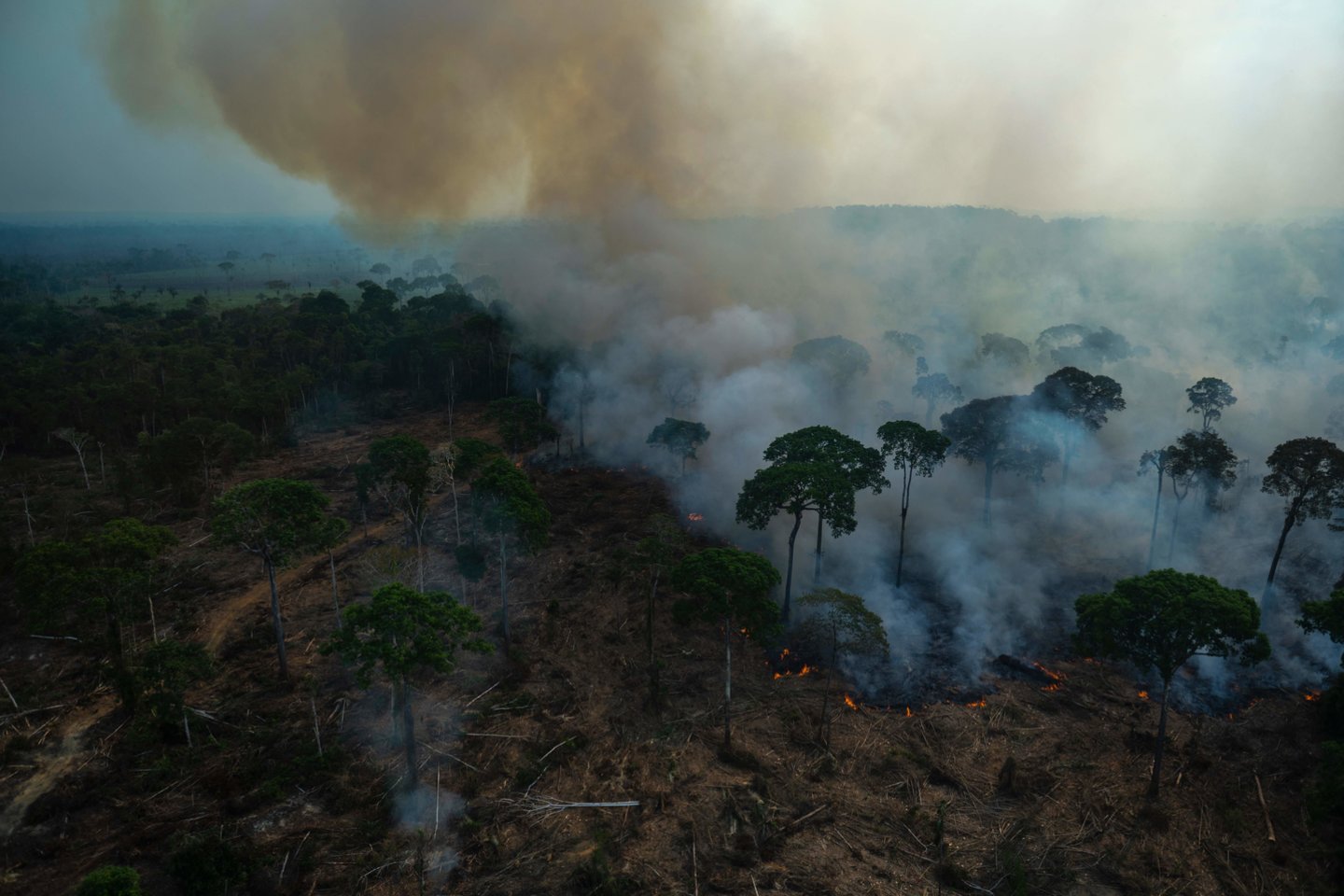 Gaisrai Amazonėje. <br>AFP/Scanpix nuotr. 