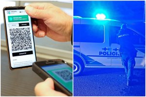 20-metė panevėžietė pasiskundė policijai: už suklastotą galimybių pasą sumokėjusi 645 eurus jo taip ir negavo