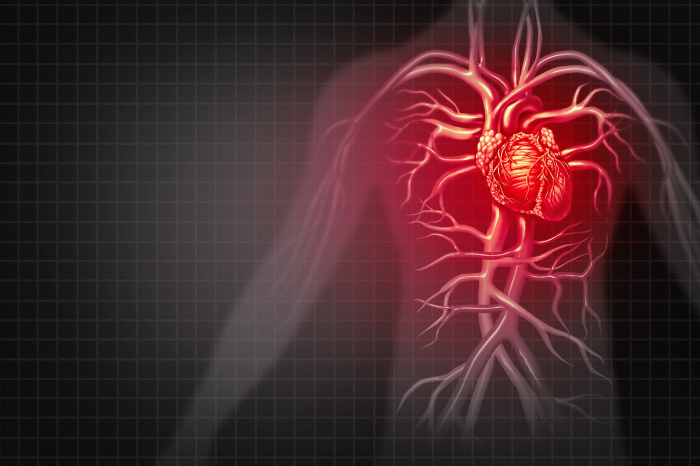 Širdies ir kraujagyslių sistema.<br>123rf iliustr.