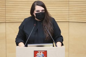 Paskutinę metų dieną – Prezidentūros kirtis valdantiesiems: vienintelė galimybė lieka pavasarį