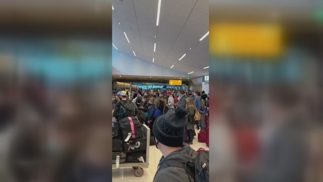 JAV ir toliau atšaukiant skrydžius, užfiksuotas vienas jų oro uostų: susirinko tūkstantinė minia
