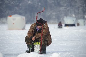 Įsigaliojo draudimas žvejoti masalui naudojant žuvelę: priminė, kokios baudos laukia 