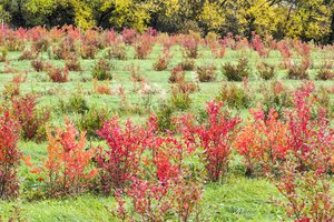 Norintiems prisijungti prie kokybės sistemų dalyvių – parama