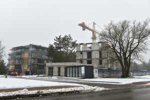 Laukiantiems, kada kris butų kainos, ekspertas turi atsakymą: patiks ne visiems