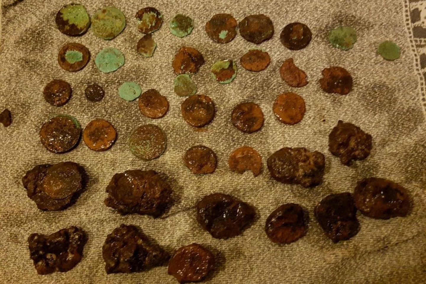  Kai kurios iš prie buvusios brastos rastų monetų.<br> N. ir V. Schaijkų nuotr.