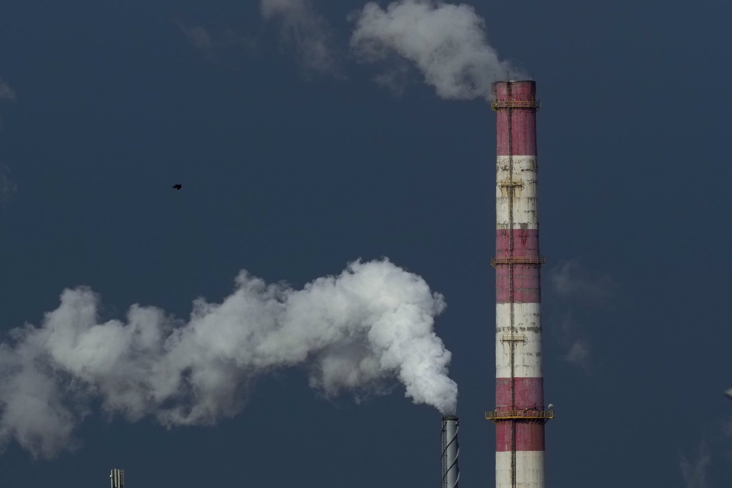 ES turės apsispręsti dėl iškastinio kuro naudojimo .<br>V.Ščiavinsko nuotr.