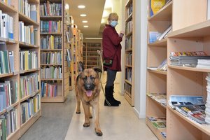 Nuo sausio 1 d. biblioteka Lietuvoje atvėrė duris šunims: lauks ne tik dėmesys, bet ir dubenėlis su vandeniu