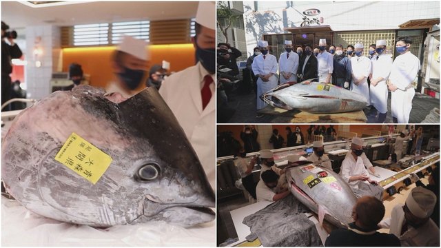 Kasmetiniame festivalyje parduotas 211 kg svėręs tunas: klientas paklojo per 128 tūkst. eurų