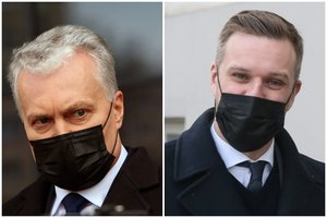 G. Nausėda pakilo į naują žygį, bet bandydamas iškrapštyti G. Landsbergį iš posto paslydo ir pats