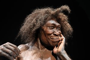 10 įdomiausių dalykų, kuriuos praėjusiais metais sužinojome apie savo protėvius