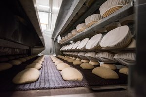 Brangstant trąšoms ūkininkai kalba be užuolankų – galime pamatyti nenormalias maisto kainas