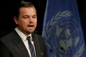 Mokslininkai įvertino L. DiCaprio indėlį saugant miškus: naujai atrastą augalą pavadino aktoriaus vardu