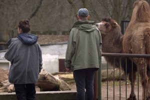 Rodys filmus, kurie neprailgsta, ir Venecijos kino festivalio laureato kūrinius