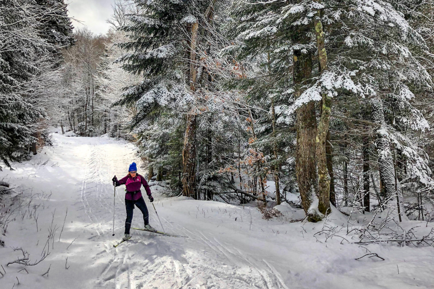 Lietuvoje populiarėja lygumų slidinėjimas.<br>„Unsplash“ nuotr.