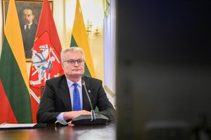 Ilgametis Seimo narys: situaciją turi ištaisyti prezidentas