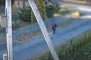 Iš šunį spardžiusios šeimininkės konfiskuoti 6 gyvūnai: gresia bauda iki 3200 eurų