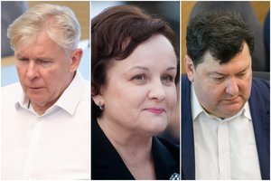 Užsienio reikalų komiteto pirmininko kėdę sieks užimti trys kandidatai: pasiūlymą gavo ir M. Maldeikis