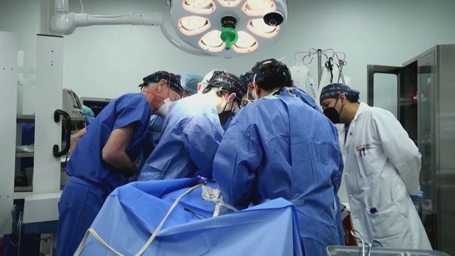 Laukiantiems organų persodinimo operacijų sužibo viltis: JAV chirurgai žmogui persodino kiaulės širdį