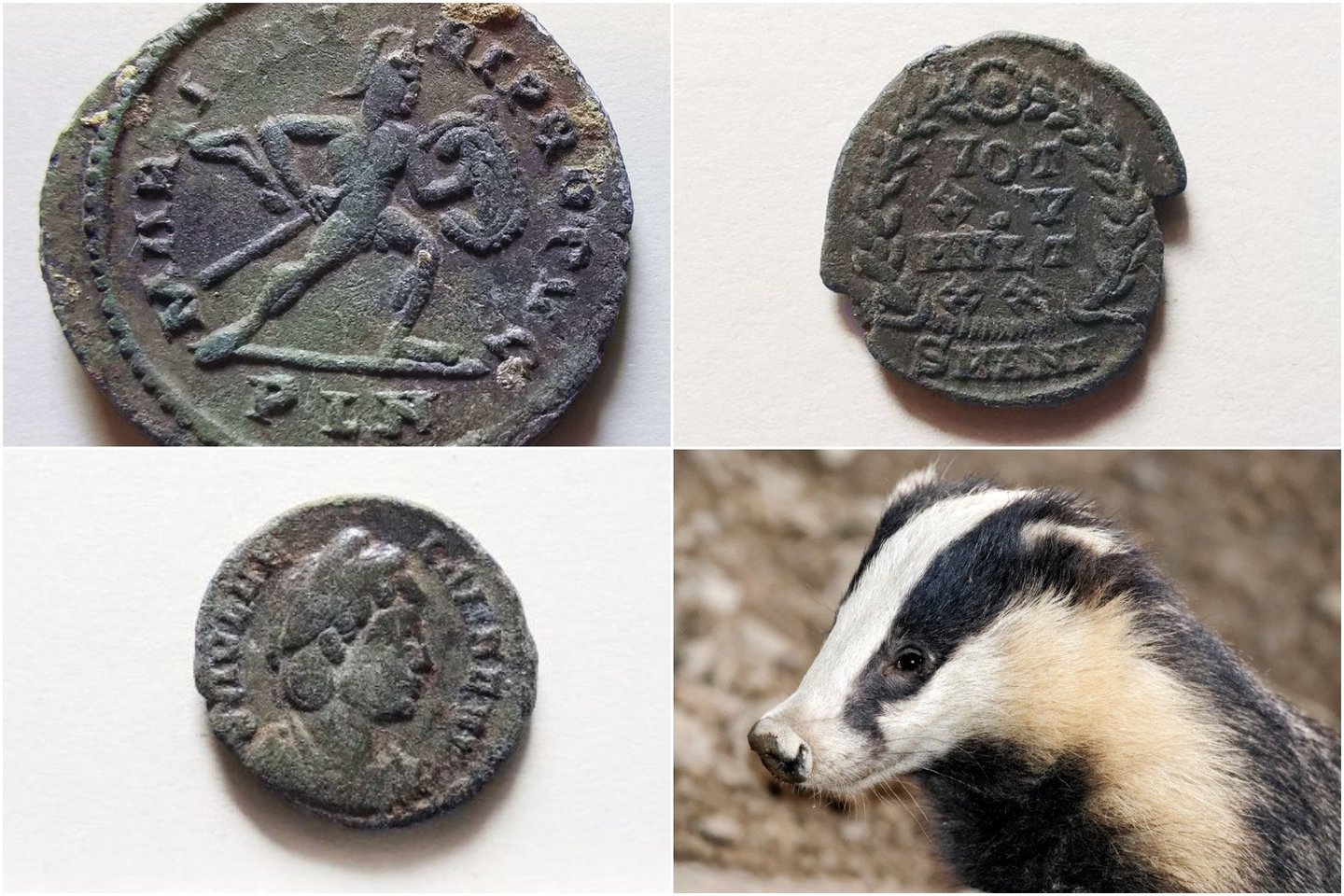  Archeologai teigia, kad šiaurės vakarų Ispanijoje buvo aptiktas maždaug 200 romėnų laikų monetų lobis - kurį, matyt, aptiko maisto ieškantis alkanas barsukas.<br> Madrido Autonominio universiteto, 123rf nuotr. / lrytas.lt mont.