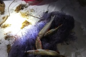 Aplinkosaugininkai sulaikė tinklais žvejojusius pažeidėjus: tie patys asmenys įkliuvo antrą kartą per 2 mėnesius