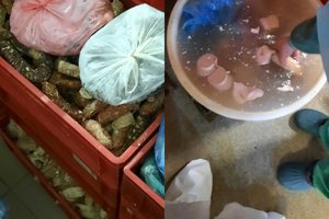 Dėl užfiksuotų pažeidimų mėsos perdirbimo įmonė turės užverti duris: aplink vien pelėsis, gaminiai – šalia šiukšliadėžių