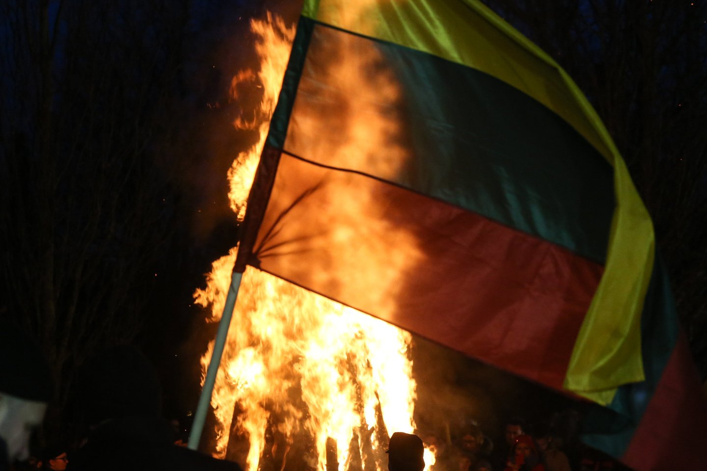 Lietuva gali prarasti nepriklausomybę, jei atsidurs pavojingame žaidime: Sausio 13-oji – nebepasikartos?<br>R.Danisevičiaus nuotr.