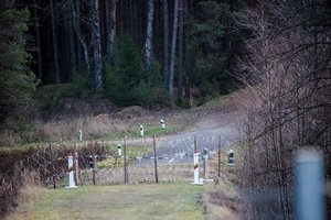 Po trijų dienų tylos – neteisėti migrantai prie Lietuvos pasienio: patekti bandė 18 asmenų