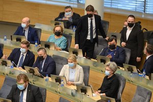 Pratęstoje Seimo sesijoje bus svarstomos Konstitucijos pataisos dėl tiesioginių merų rinkimų