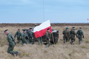 Žiniasklaida: internete atsidūrė daugiau kaip 1,7 mln. slaptų Lenkijos armijos dokumentų