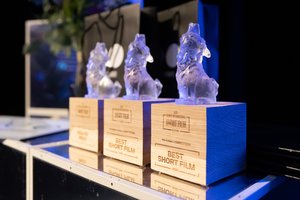 Paskelbti Vilniaus trumpųjų filmų festivalio nugalėtojai
