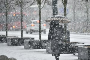 Pūga Lietuvoje siaučia be gailesčio: plėšomos pastatų dalys, elektros jau neturi daugiau nei 20 tūkst. vartotojų