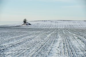 Nepatenkinti stambiųjų ūkių protegavimu Seime: parama absoliučiai mažumai ūkininkų