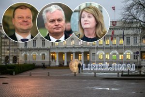Žvelgė į prezidentinę dėlionę: joje – nuslėpta politinė orientacija, fenomenas ir naujos pavardės