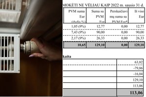 Šildymo sąskaitomis pasibaisėjusiai moteriai „Vilniaus šilumos tinklai“ pasakė, kiek teks mokėti už sausį